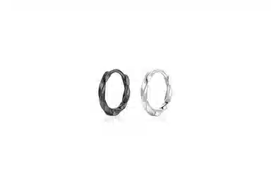 JOYDINNY S925 Silver Earrings
