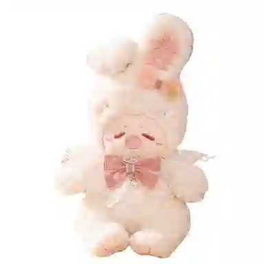25cm
