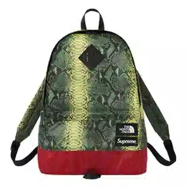 Supreme x The North Face SS18 Backpack Green
