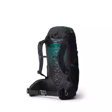 GREGORY STOUT 35455570L