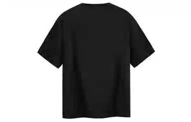 ICONS Lab T