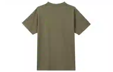 Dickies LogoT