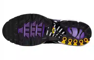Nike Air Max Plus Purple Black