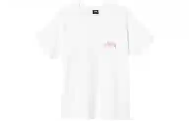 Stussy SS22 T