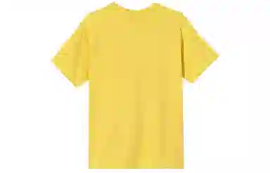 Stussy T