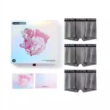 PLAN IN 3