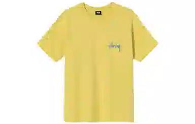 Stussy SS22 T