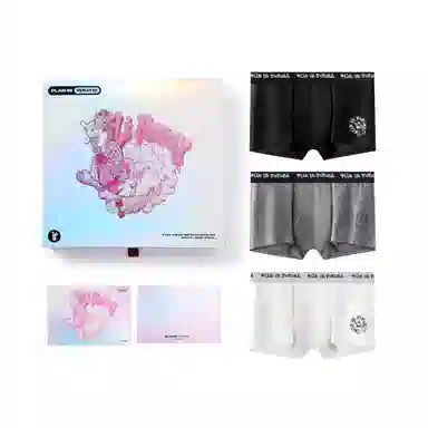 PLAN IN 3