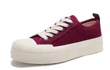 Feiyue