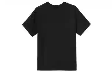 Stussy T