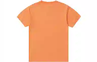 Champion SS23 Basic LogoT