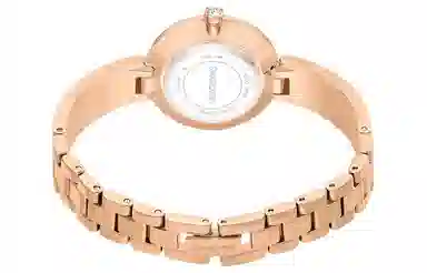 Swarovski 27mm 50 5671202