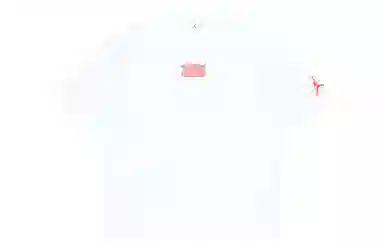 Jordan Jumpman Gfx Ss Tee