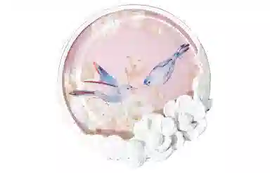 花知晓 花神水柔气垫壳