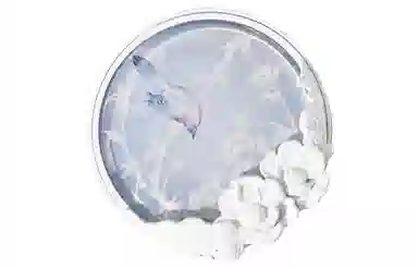 花知晓 花神水柔气垫壳