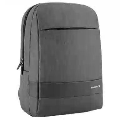 Samsonite Backpack Grey
