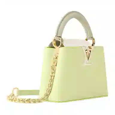 LOUIS VUITTON Capucines Taurillon