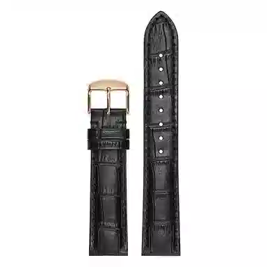 iStrap dw 1214161819202122mm