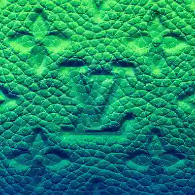 LOUIS VUITTON Pocket Organizer Taurillon