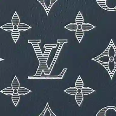 Louis Vuitton Multiple Wallet