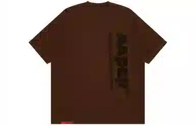 Aape T