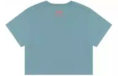 Aape T