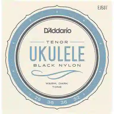 D'Addario EJ53
