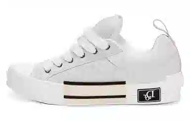 DIOR B23 Oblique