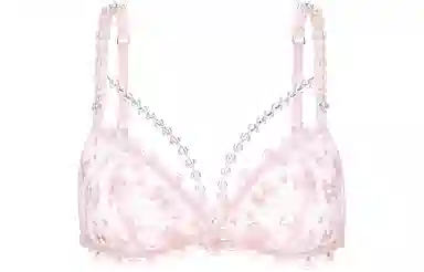 Victoria's Secret x SUSAN FANG SS24