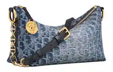 DIOR OBLIQUE Diorstar Hobo