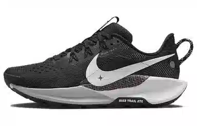 Nike Pegasus Trail 5 Black