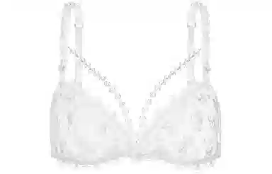 Victoria's Secret x SUSAN FANG pink Customized mesh lacemilk white