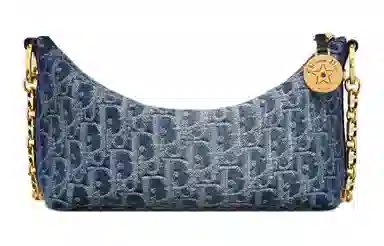 DIOR OBLIQUE Diorstar Hobo