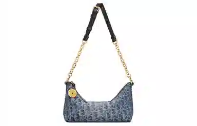 DIOR OBLIQUE Diorstar Hobo