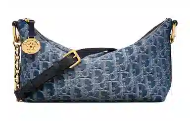 DIOR OBLIQUE Diorstar Hobo