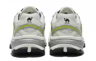 CAMEL 2.0