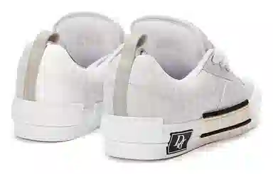 DIOR B23 Oblique