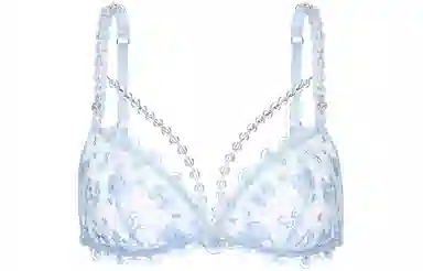 Victoria's Secret x SUSAN FANG SS24