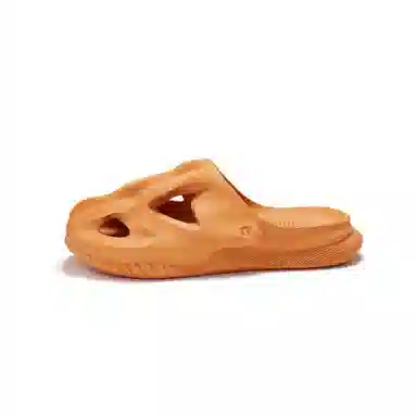 HelloSlippers T-Rex Fossil