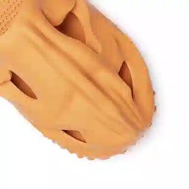 HelloSlippers T-Rex Fossil