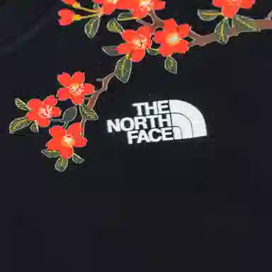 THE NORTH FACE logoT