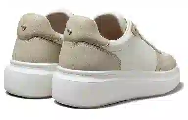 THOM WILLS Trainer