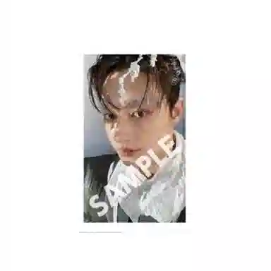 HYBE SEVENTEEN SECTOR 17