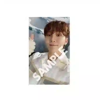 HYBE SEVENTEEN SECTOR 17