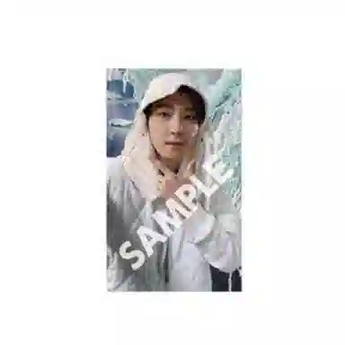 HYBE SEVENTEEN SECTOR 17
