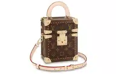 LOUIS VUITTON Monogram