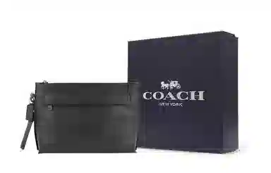 COACH Pouch 29