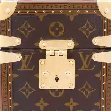 LOUIS VUITTON Monogram