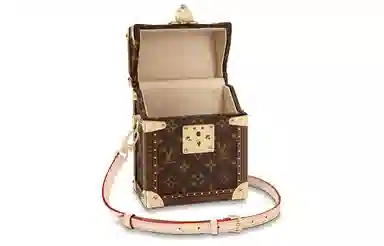 LOUIS VUITTON Monogram