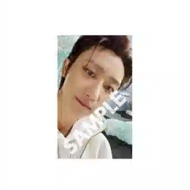 HYBE SEVENTEEN SECTOR 17